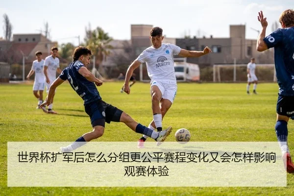 img_1780664810635_49_2_989.jpg